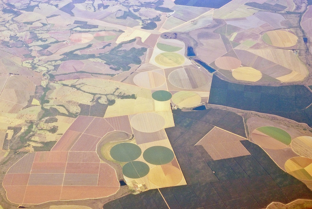 agricultural fields view from plane