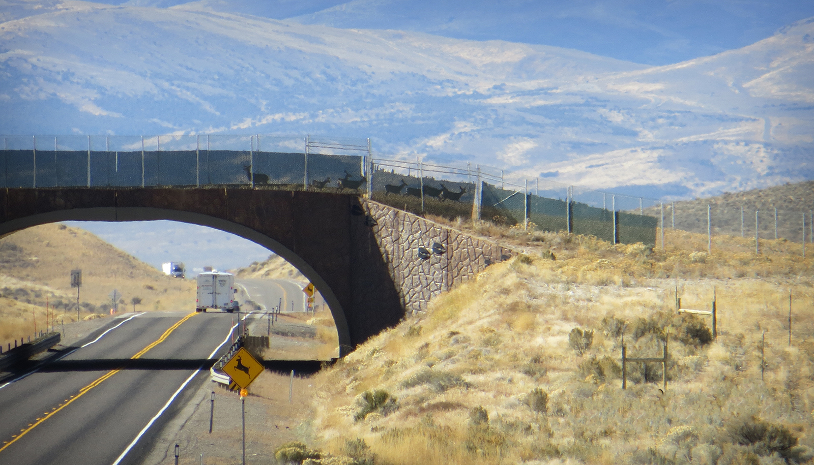 Eight mule deer cross the overpass along Highway 93, Elko County, Nevada, in this Oct. 14, 2014 photo. 
