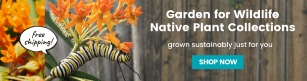 Garden for wildlife advertisement