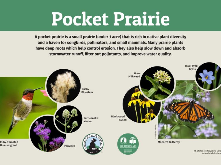 pocket prairie informational slide