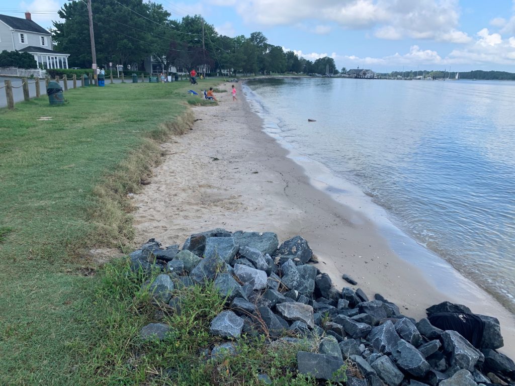Working with Nature to Address Coastal Flooding Along the Eastern Shore