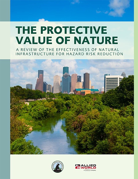 The Protective Value of Nature report cover