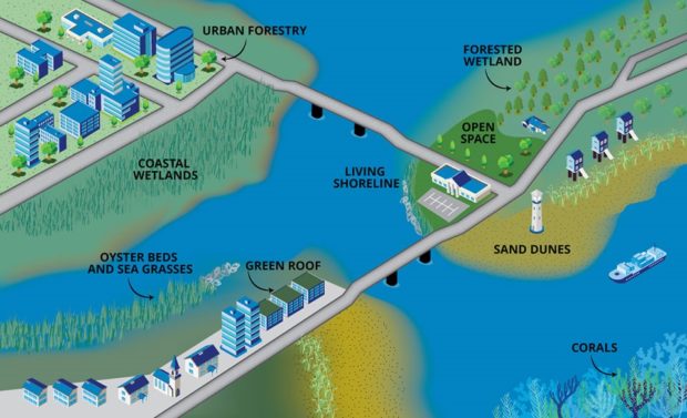 Types of natural and nature-based infrastructure illustration