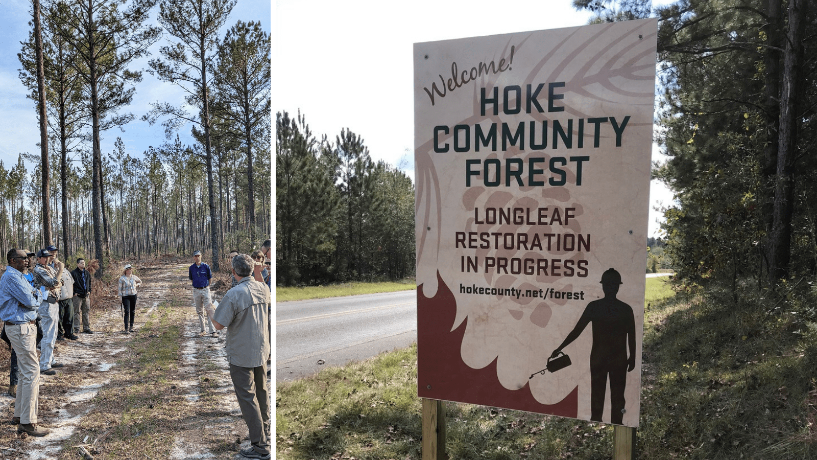 Hoke community forest sign