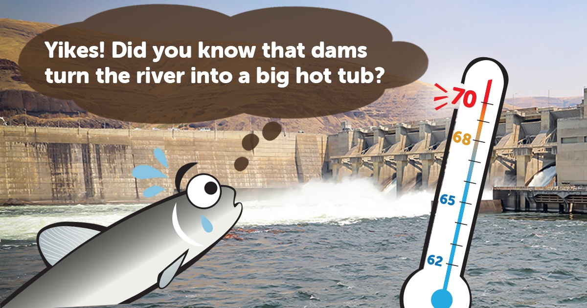 graphic: Did you know that dams turn a river into a big hot tub?