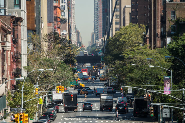 Urban forestry in New York City