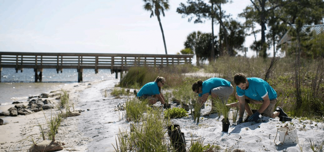 Florida coastal conservation