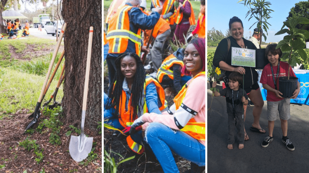 Expanding Tree Canopy and Environmental Stewardship in Broward County