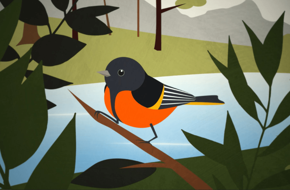 illustrated bird