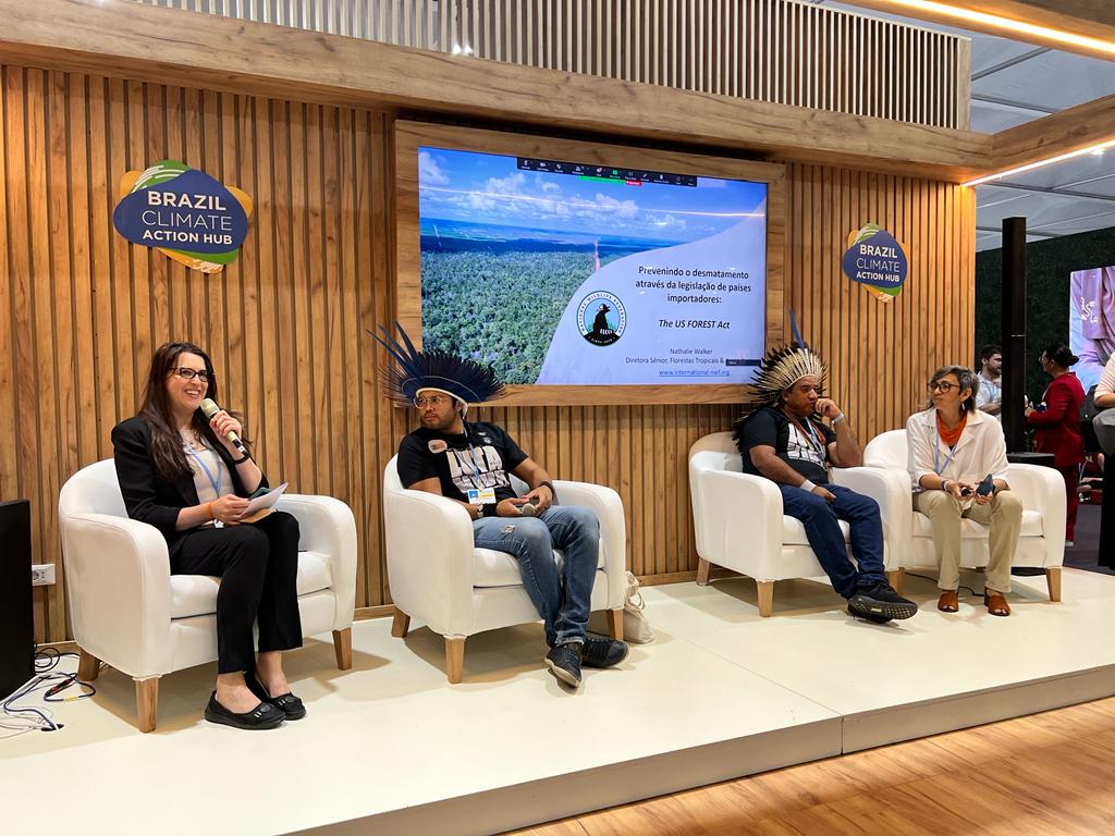 Nathalie Walker spoke on a panel with Brazilian Indigenous leaders to discuss the US Forest Act and how to safeguard the land and rights of Indigenous communities 