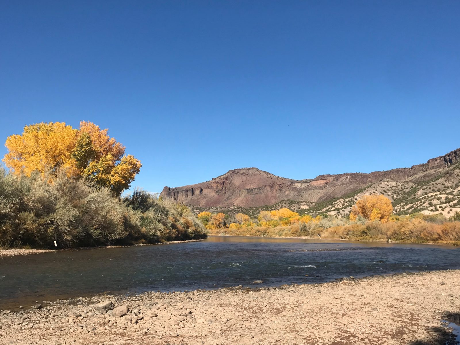 A mountain, golden trees, and a river can all be seen against a bright blue sky.