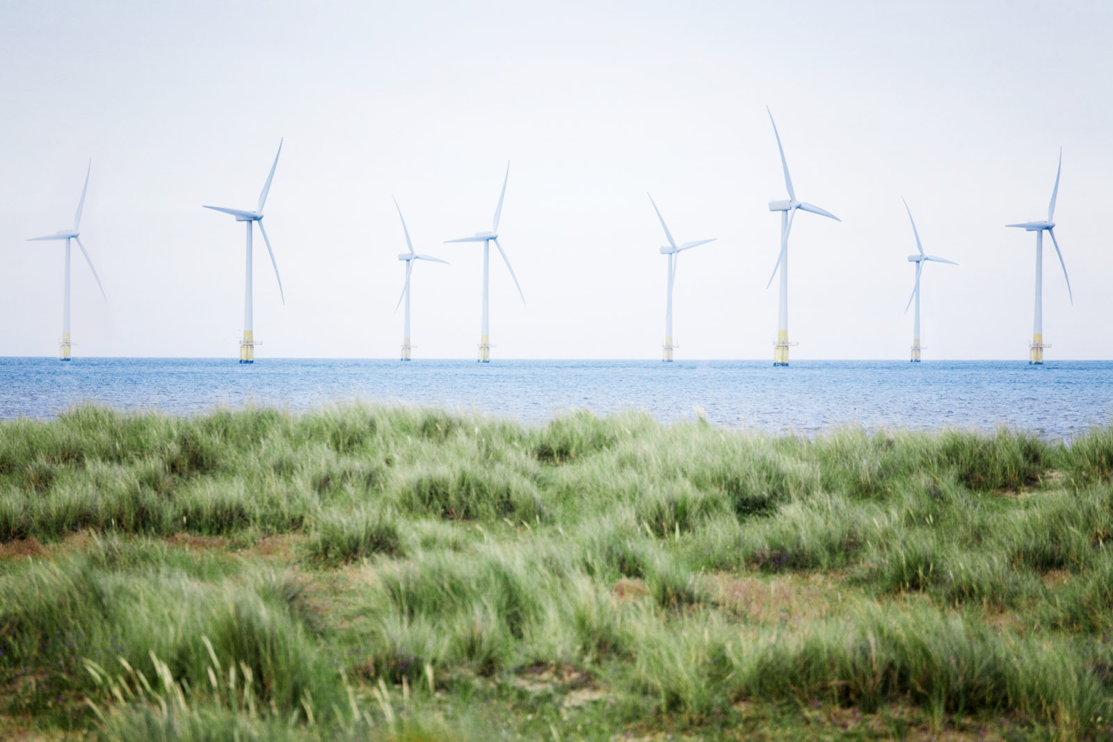 White wind turbines stand tall just off a coastal area.