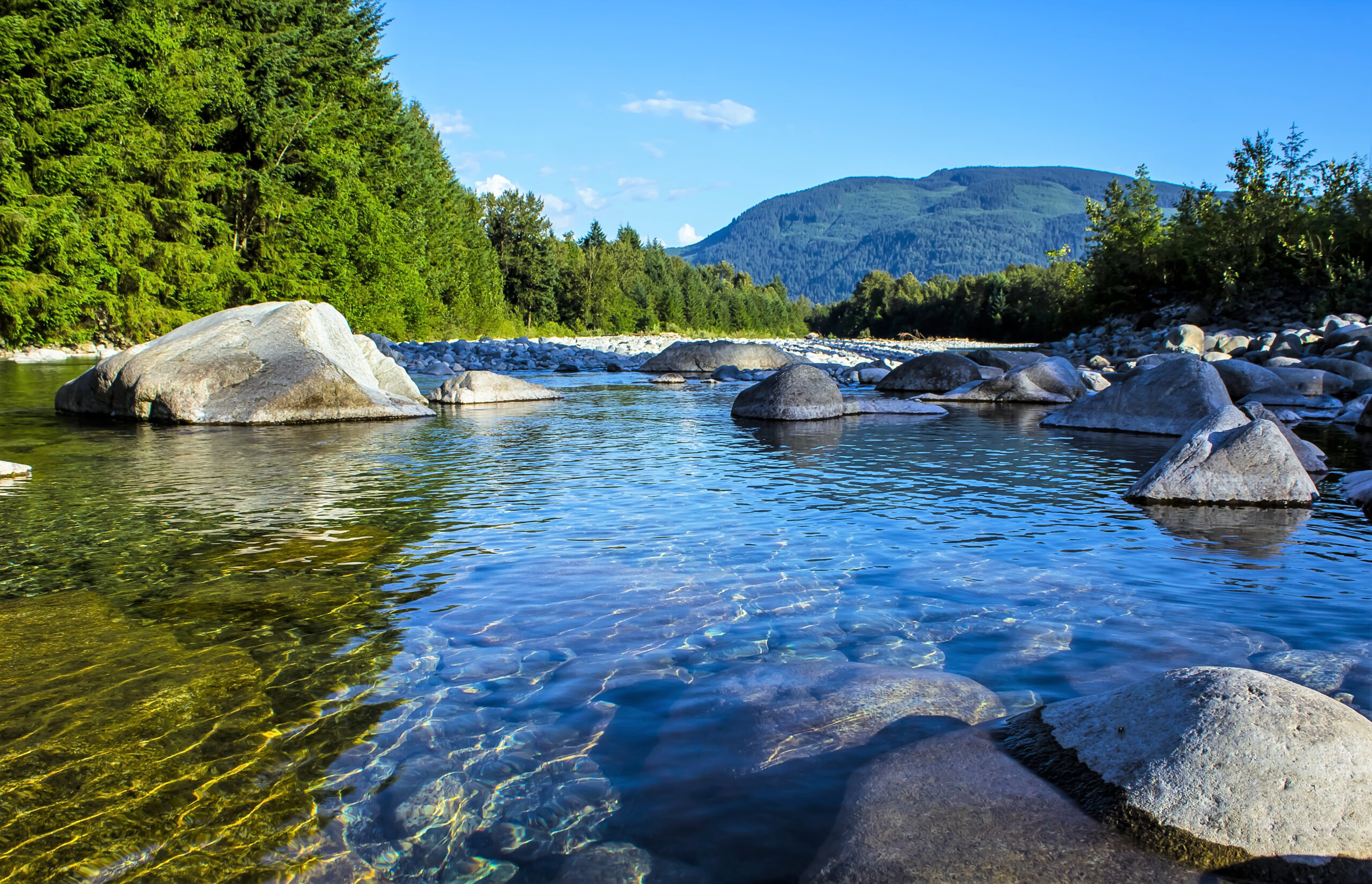 An outdoor landscape: clear water spotted with large rocks can be seen among green trees, a blue sky, and a mountain in the distance.