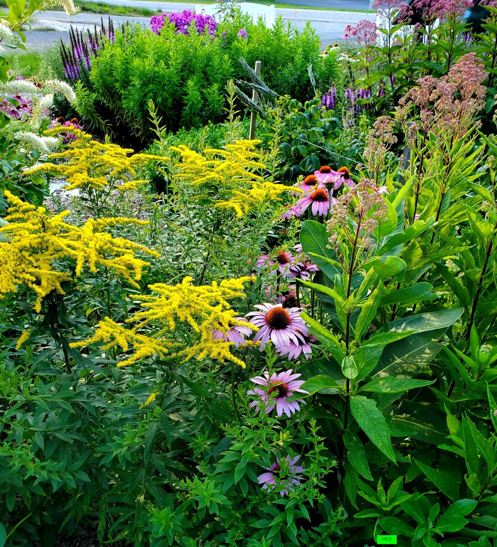 A lush green garden bursting with colorful flowers and plants.