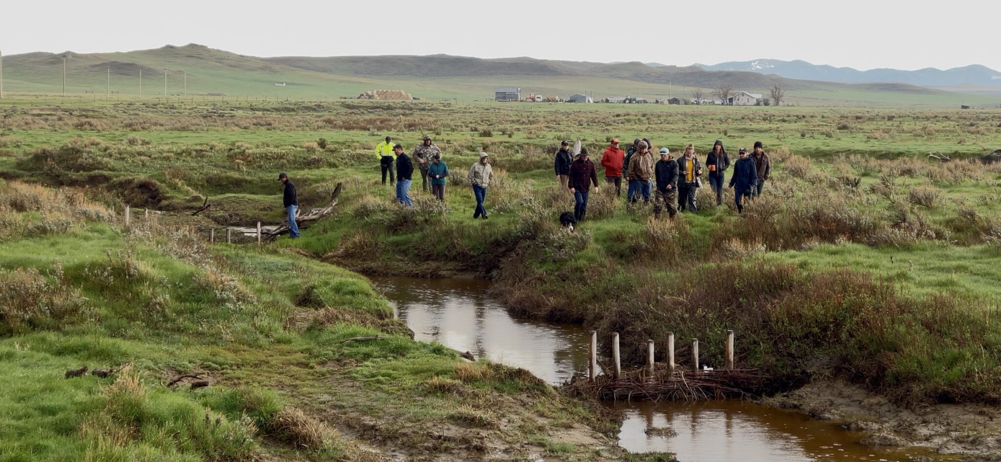 Water. Drought. Community Landowners Come Together for Prairie Stream