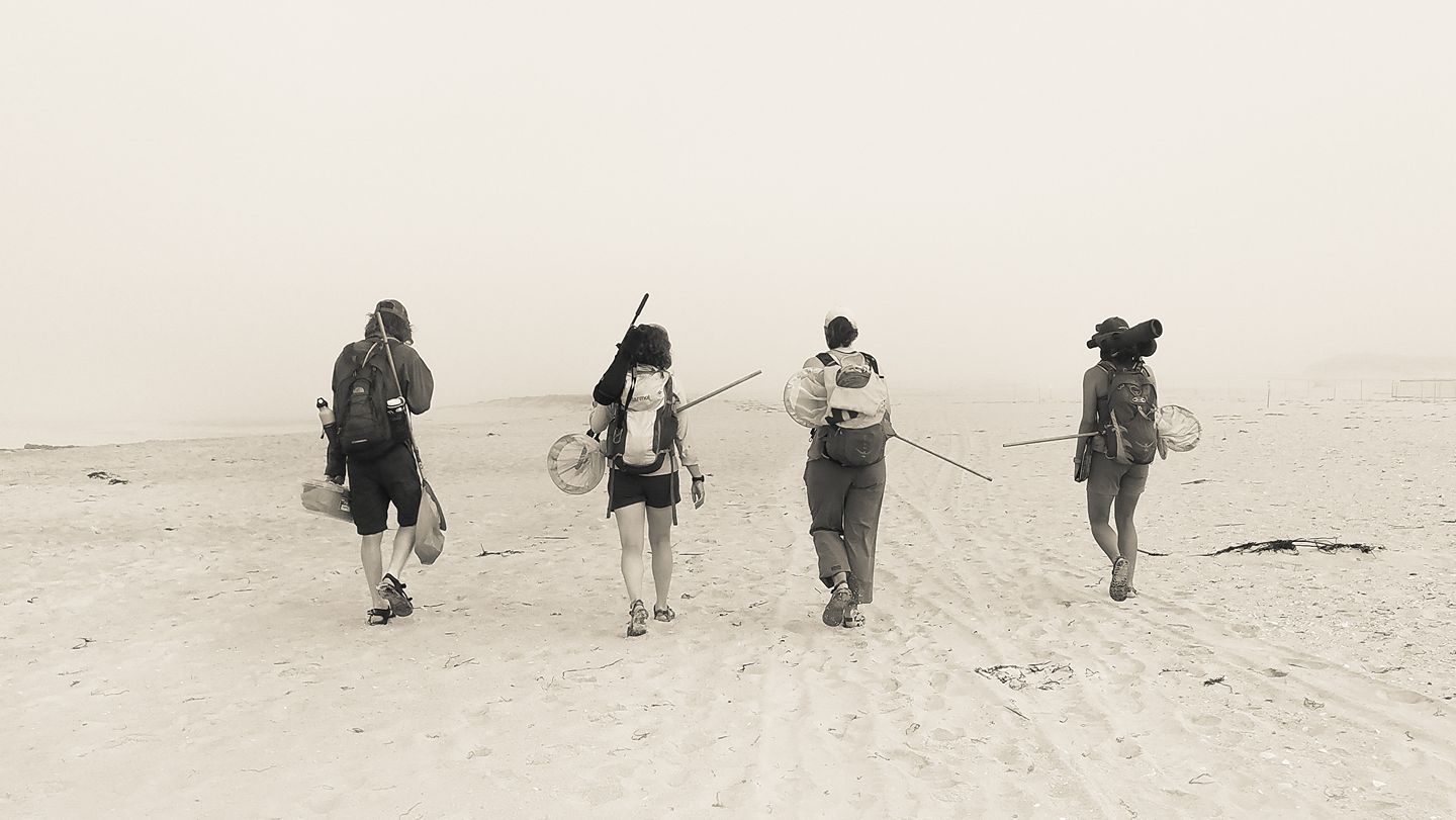 Four people carrying outdoor gear walk away from the camera in a sandy landscape.