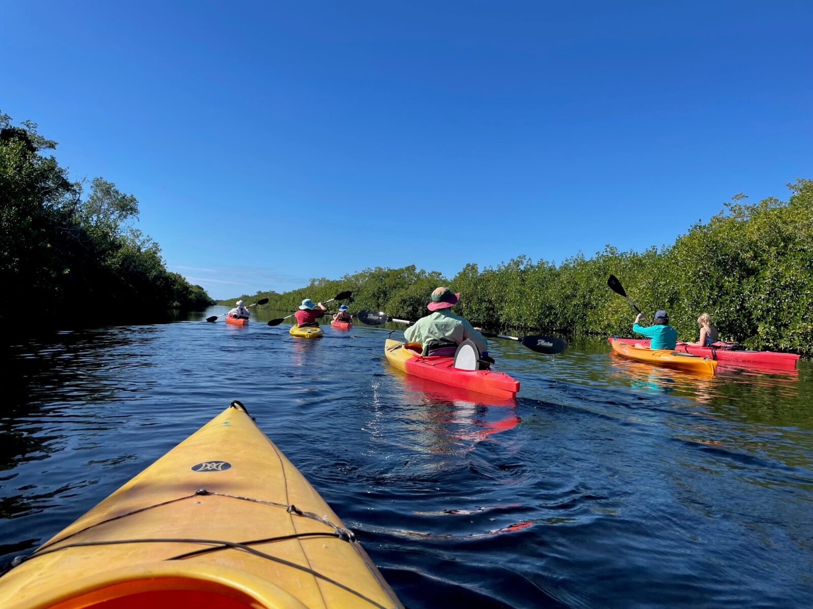 3 WildlifeFriendly Ways to Explore the Everglades The National