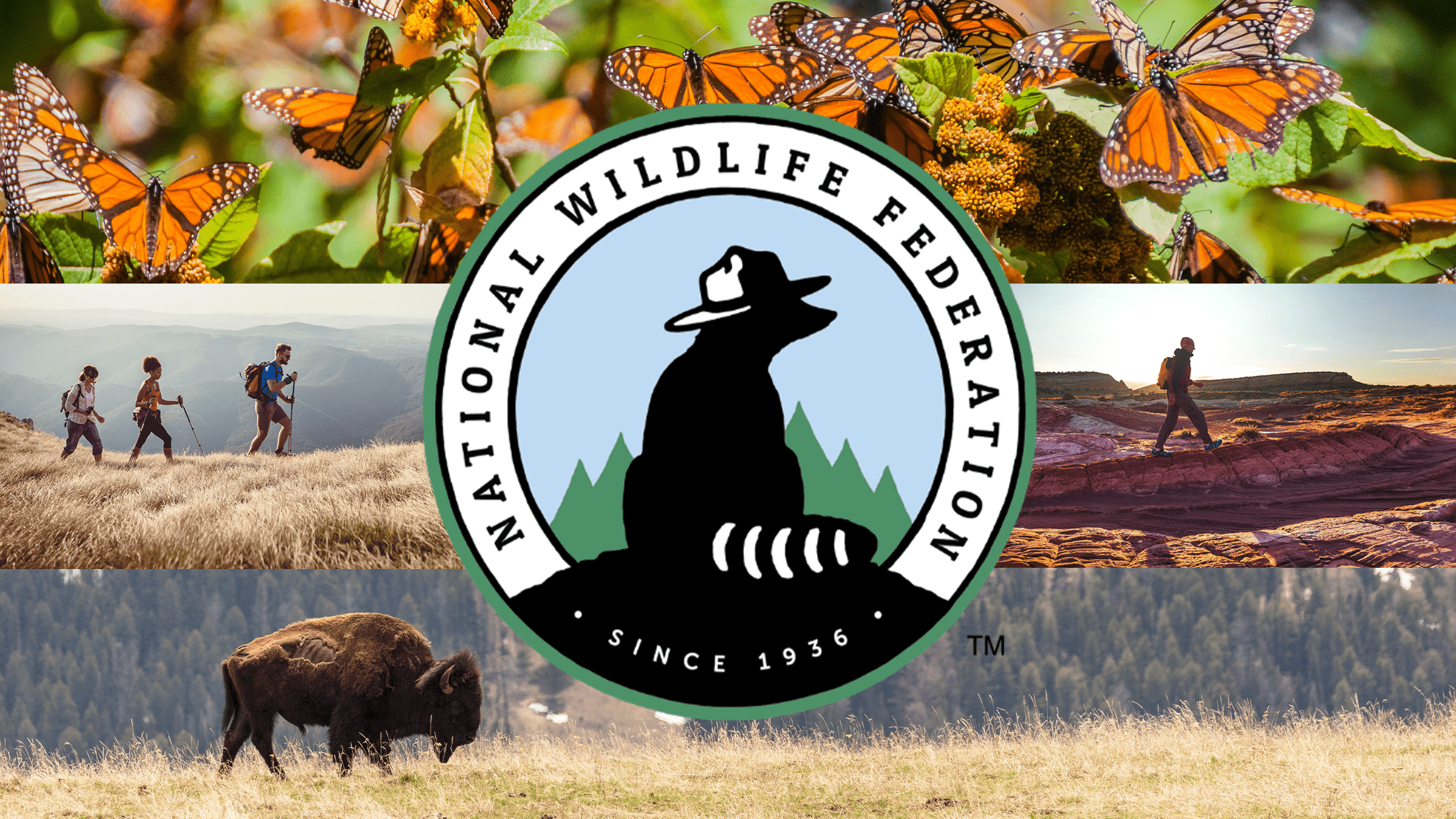 National Wildlife Federation