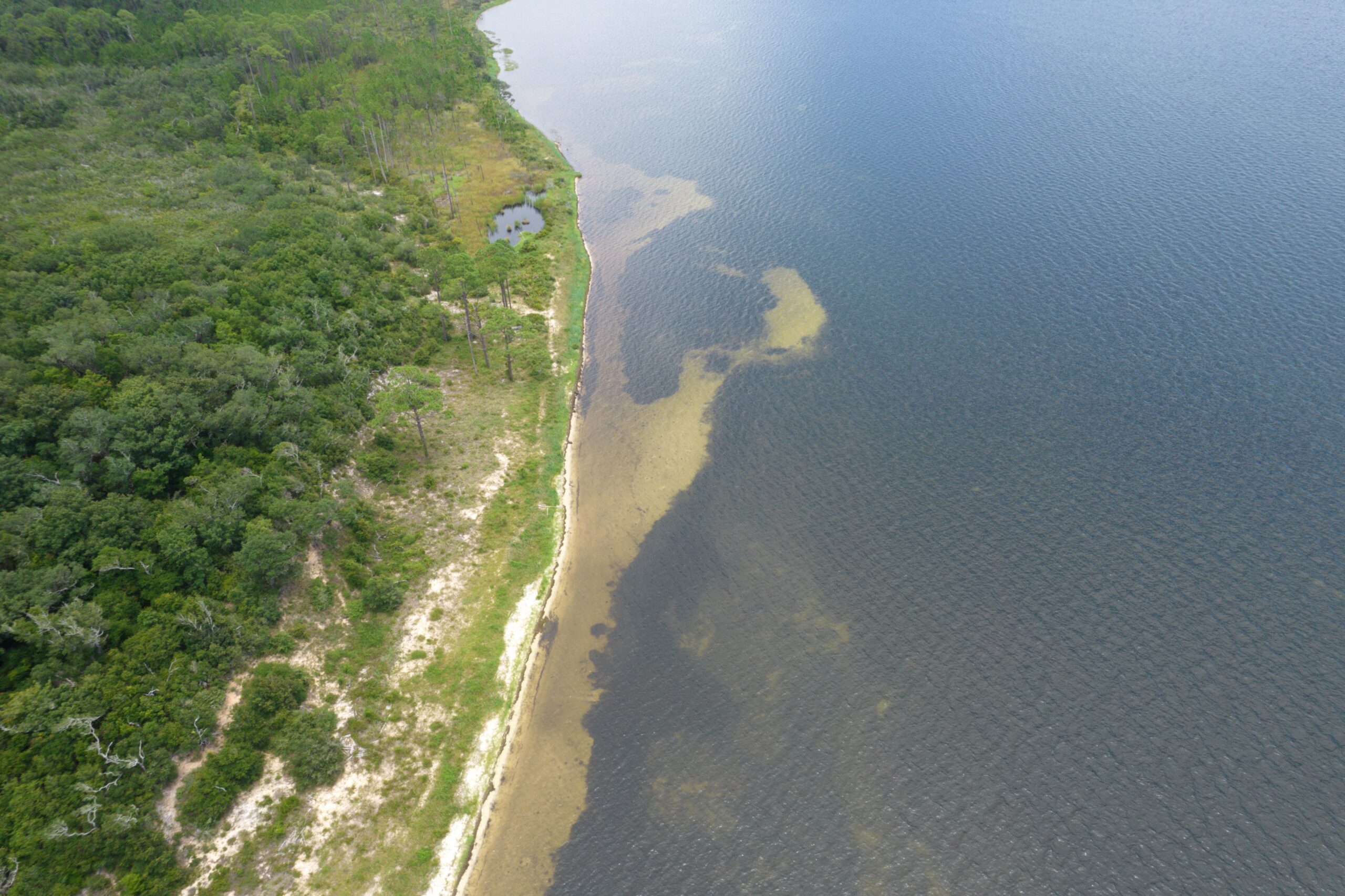 Aerial view of a section of the Gulf Coast.