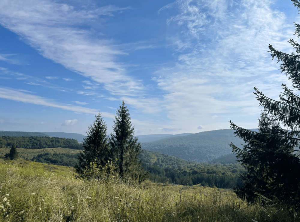 Overlook of the Monongahela National Forest at Mower Tract.