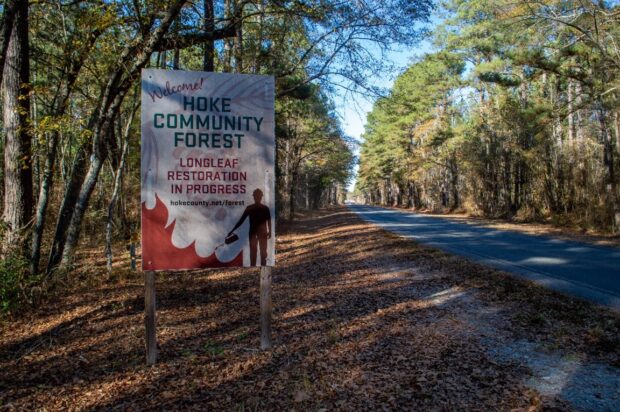 A sign at the side of a long country road reads, "Hoke Community Forest".