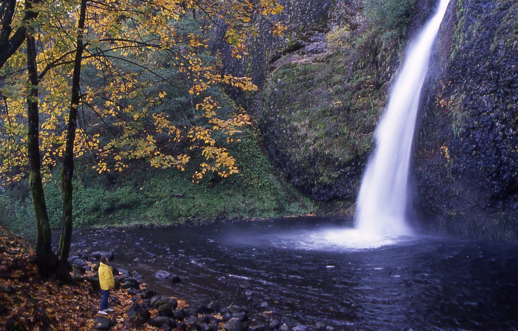A person in a yellow rain coat stands and observes a waterfall from afar.