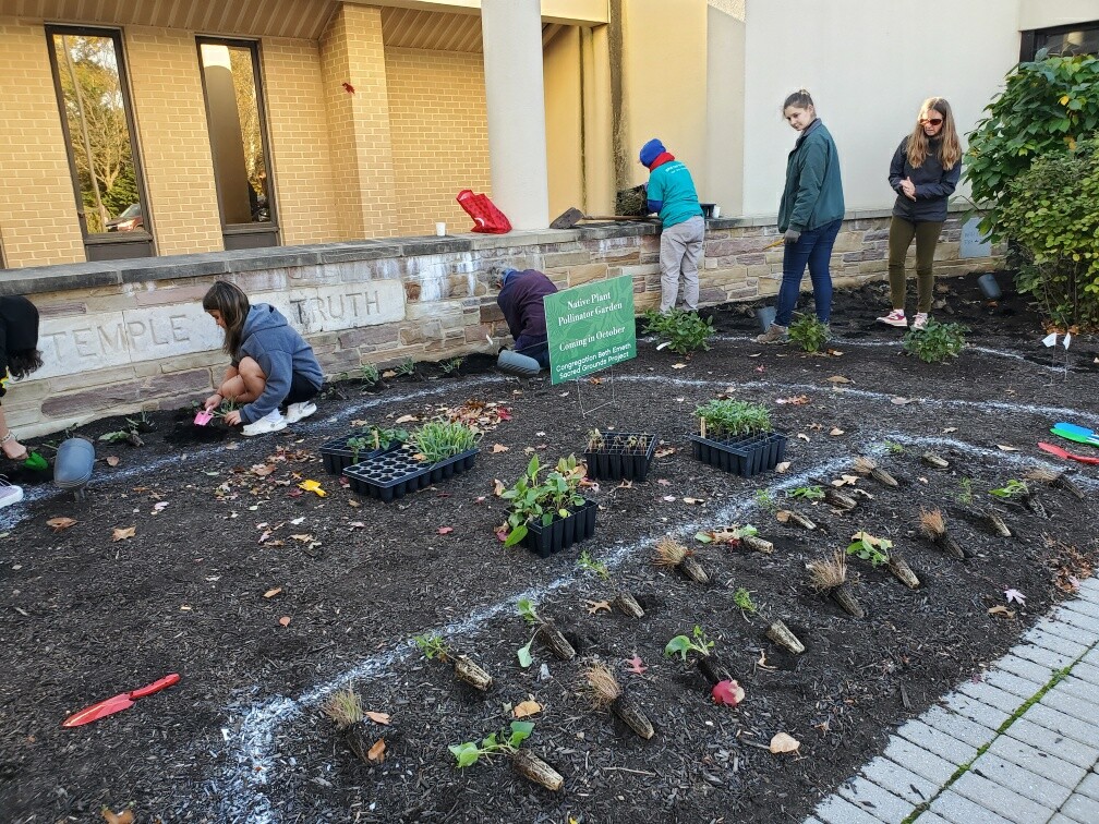 A group of people work in a garden bed next to a building.