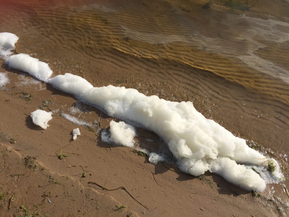 White foam in a bunch sits on the sand.