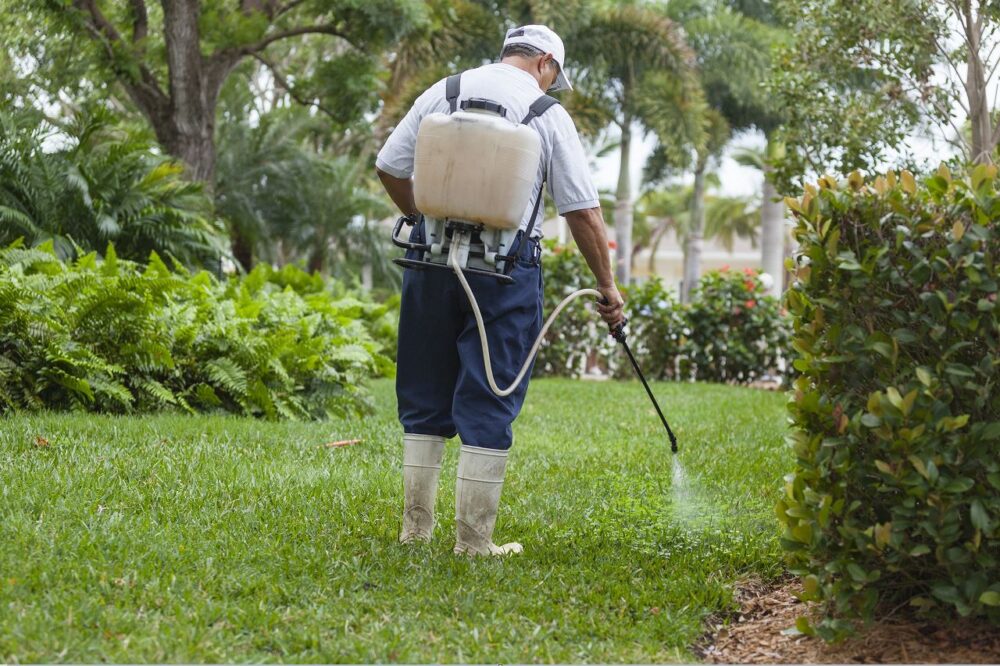 Man spraying a lawn.