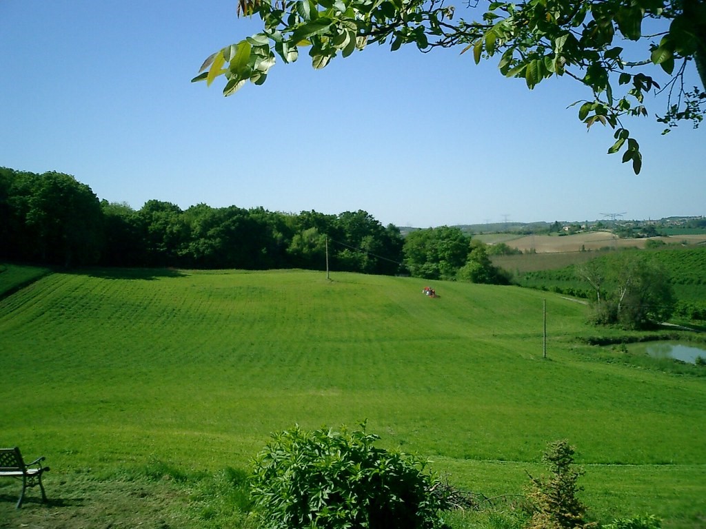 Wide view of a vast green lawn and trees on rolling hills.