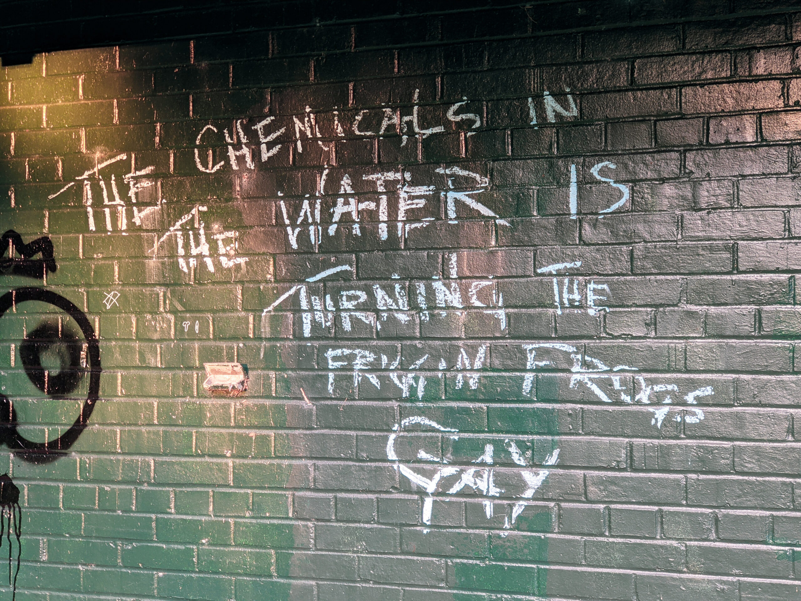 An outdoor brick wall has been painted with the words, "The chemicals in the water is turning the friggin' frogs gay".