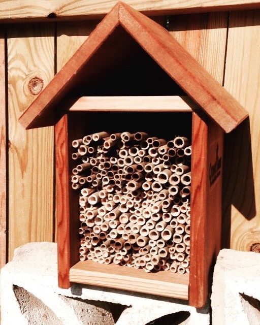 A small bee house can be seen attached to the side of a structure or a wall. It is filled with hollow sticks.