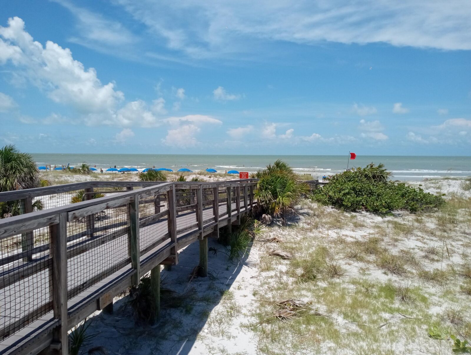 Wide view of a beach park.