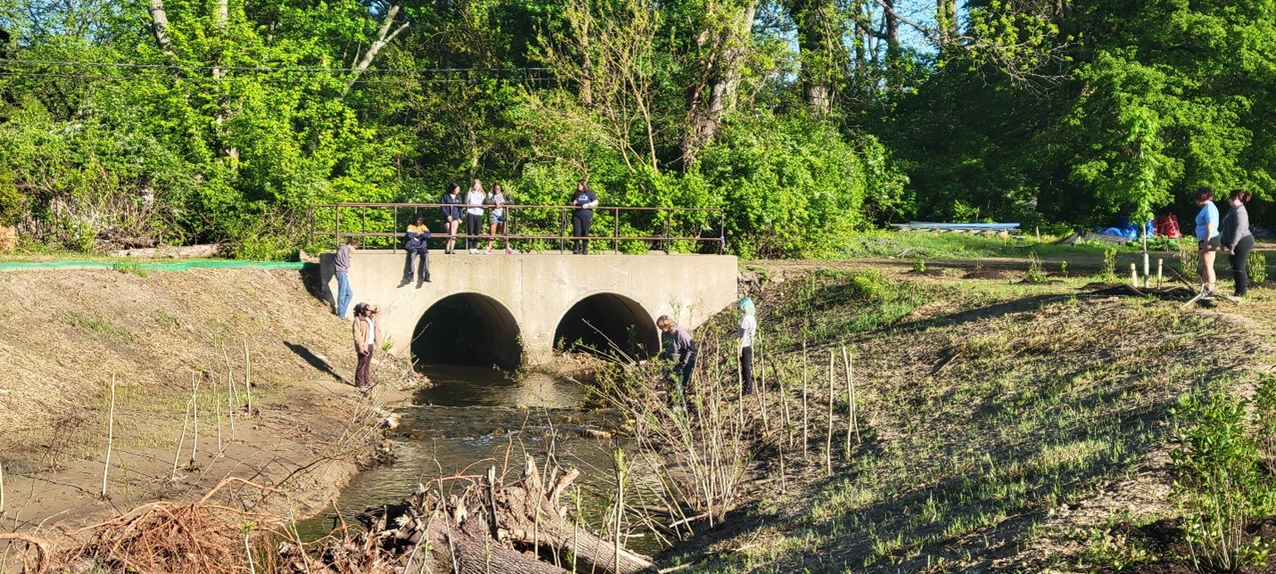 Habitat Restoration