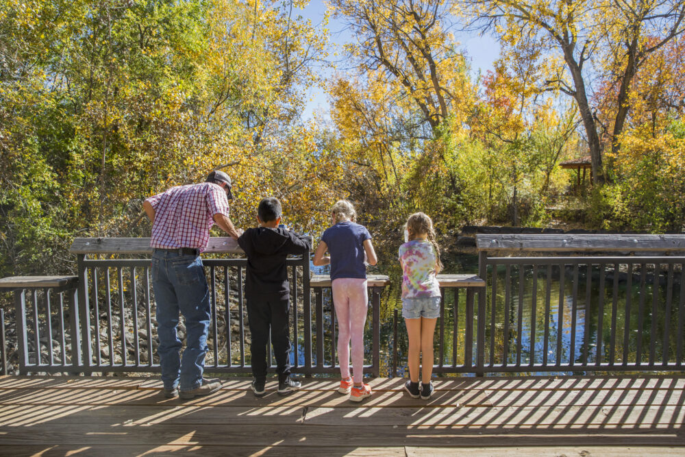 One adult and three children face away from the camera, looking over a bridge at the water below.