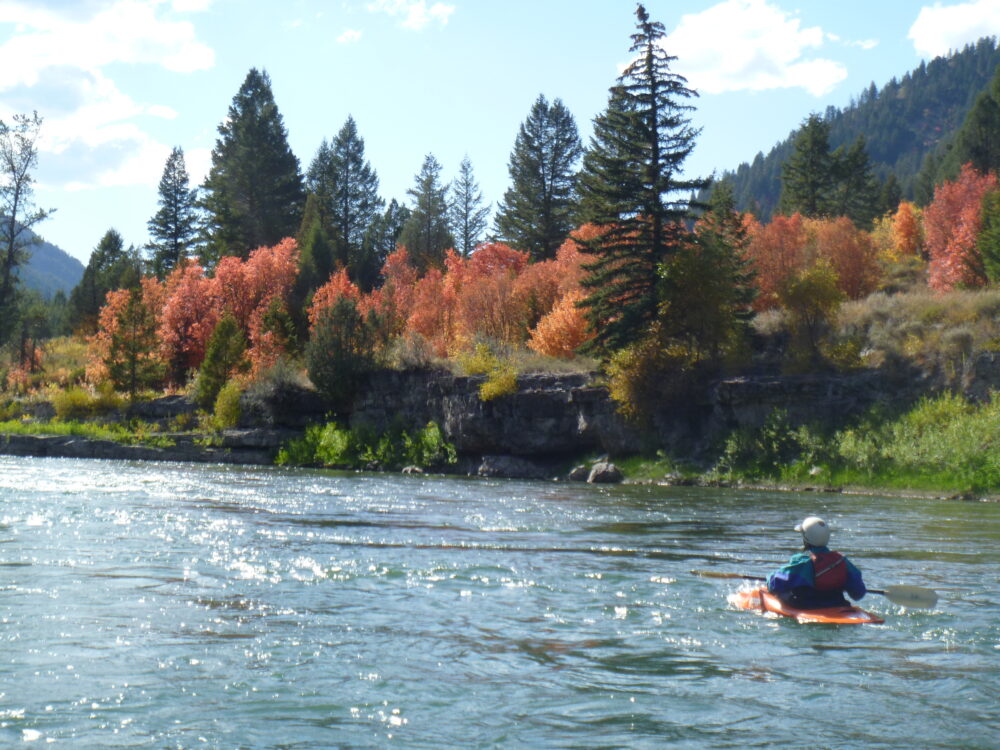 A person floats in a kayak on a river. There are green and orange trees on the riverbank.