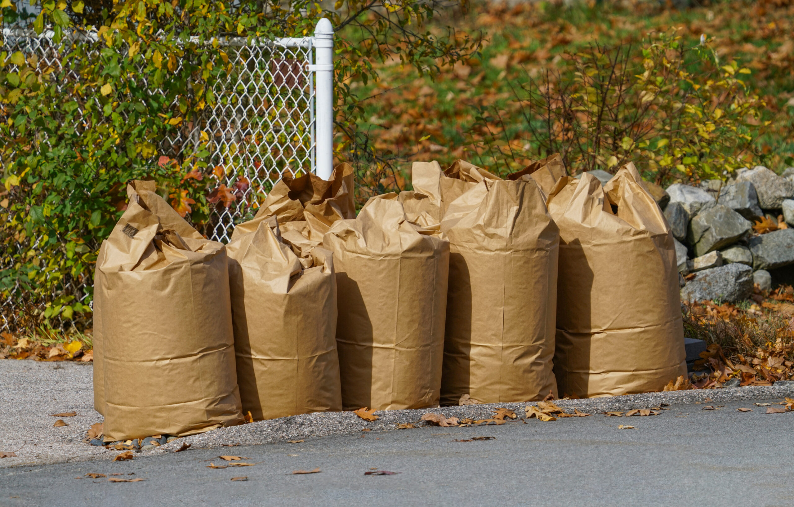 Five large brown yard waste bags are lined up on a curb.