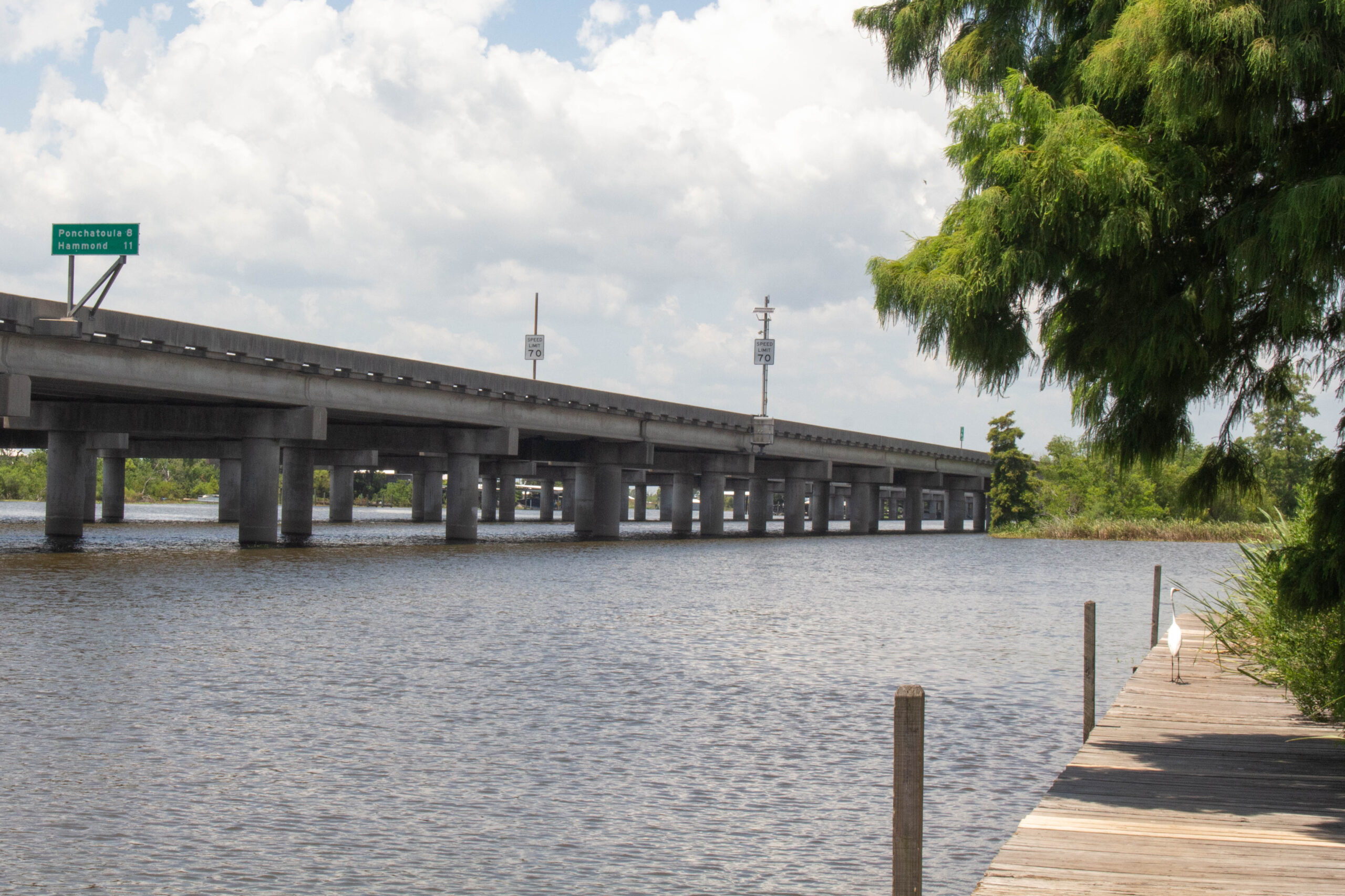 A bridge can be seen over a body of water. there is a long, slim, white bird walking on the boardwalk off to the side.