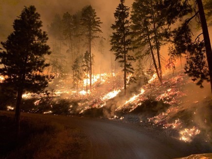 A river runs through a forest on fire at night.