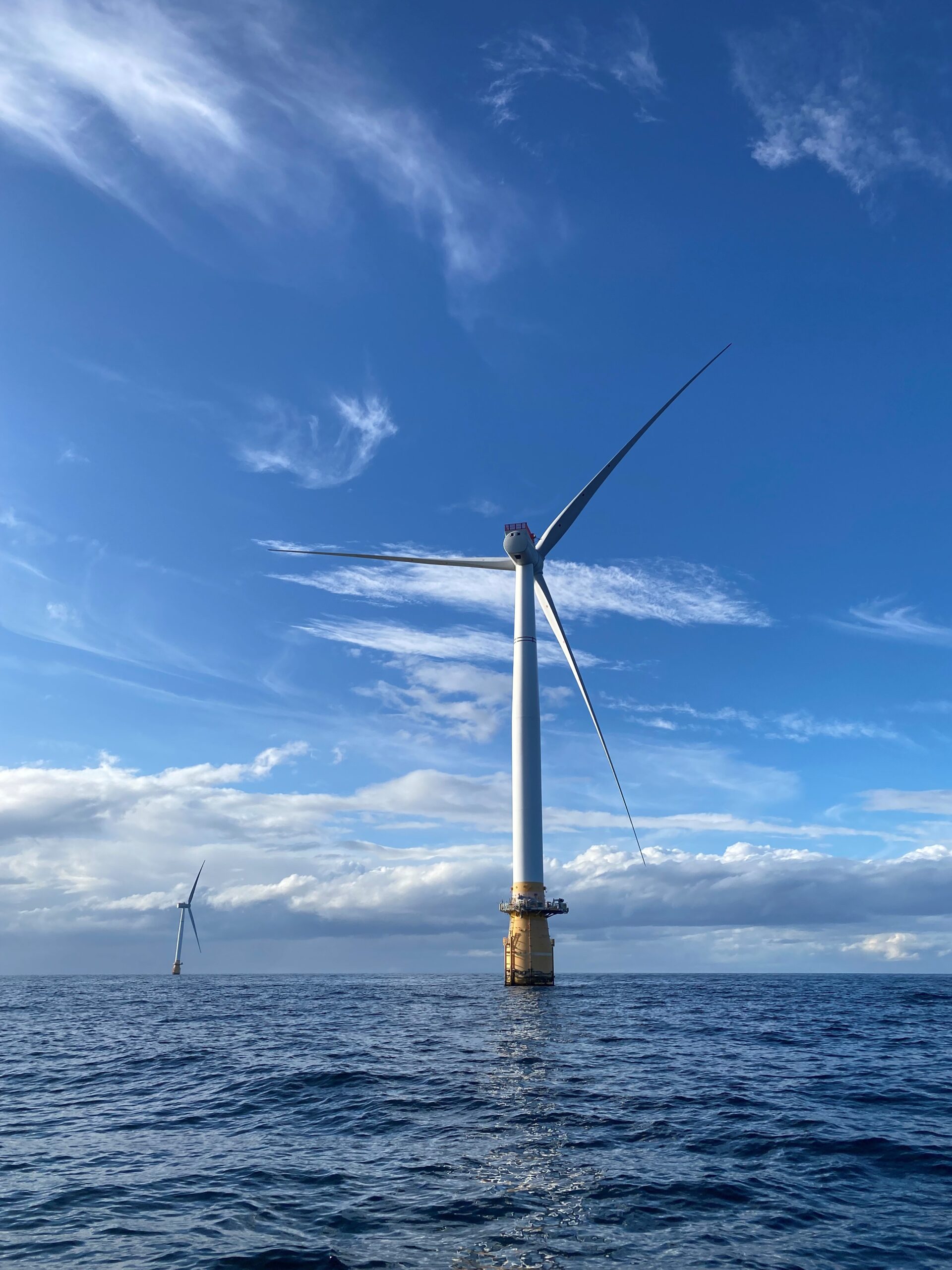 Manatees and Meadows: The Remarkable Seagrass Habitats of the Florida
