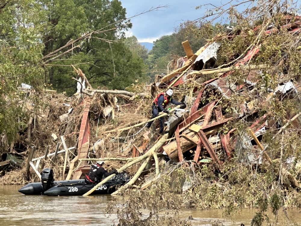 Debris near the water's edge following a hurricane.