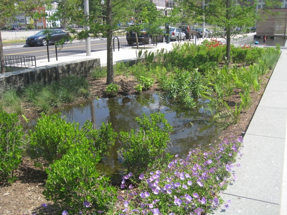 A garden including small water features.