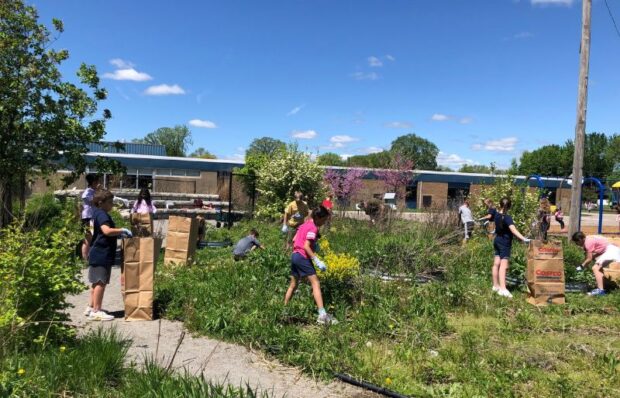 students cleaning up garden