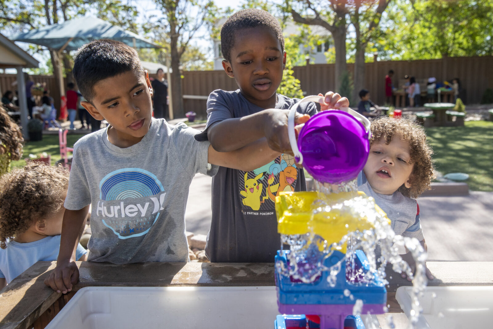 Introducing the Garden for Wildlife Gift Guide Catalog The National