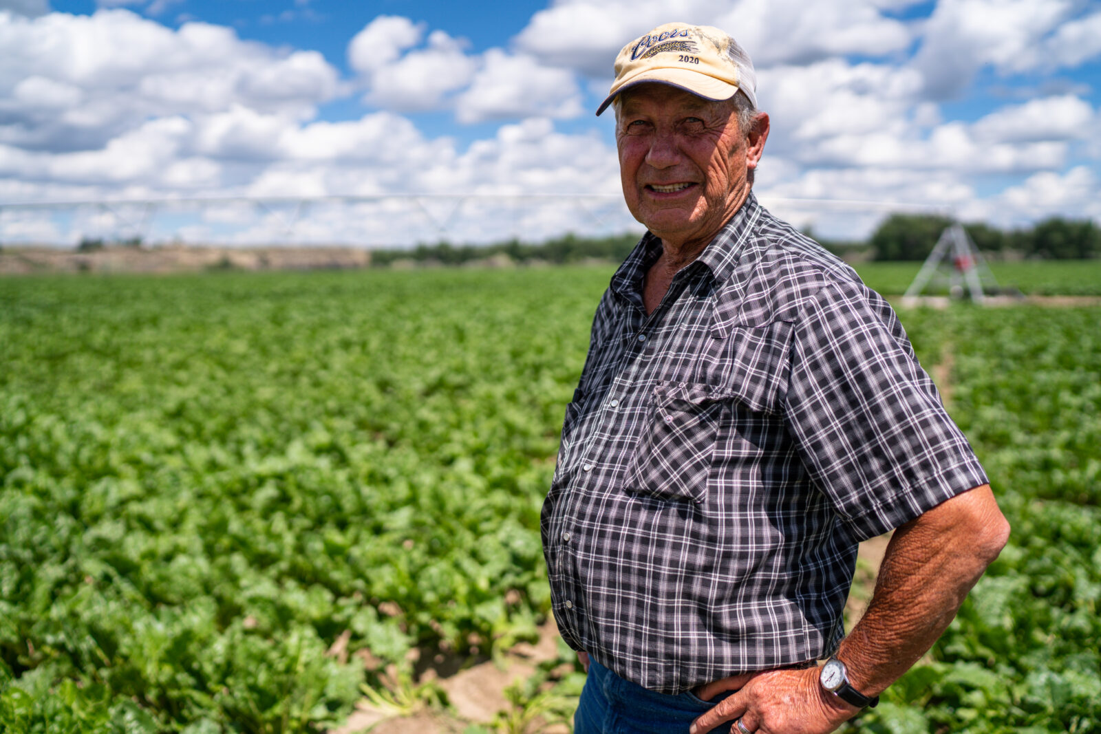 Introducing the Garden for Wildlife Gift Guide Catalog The National