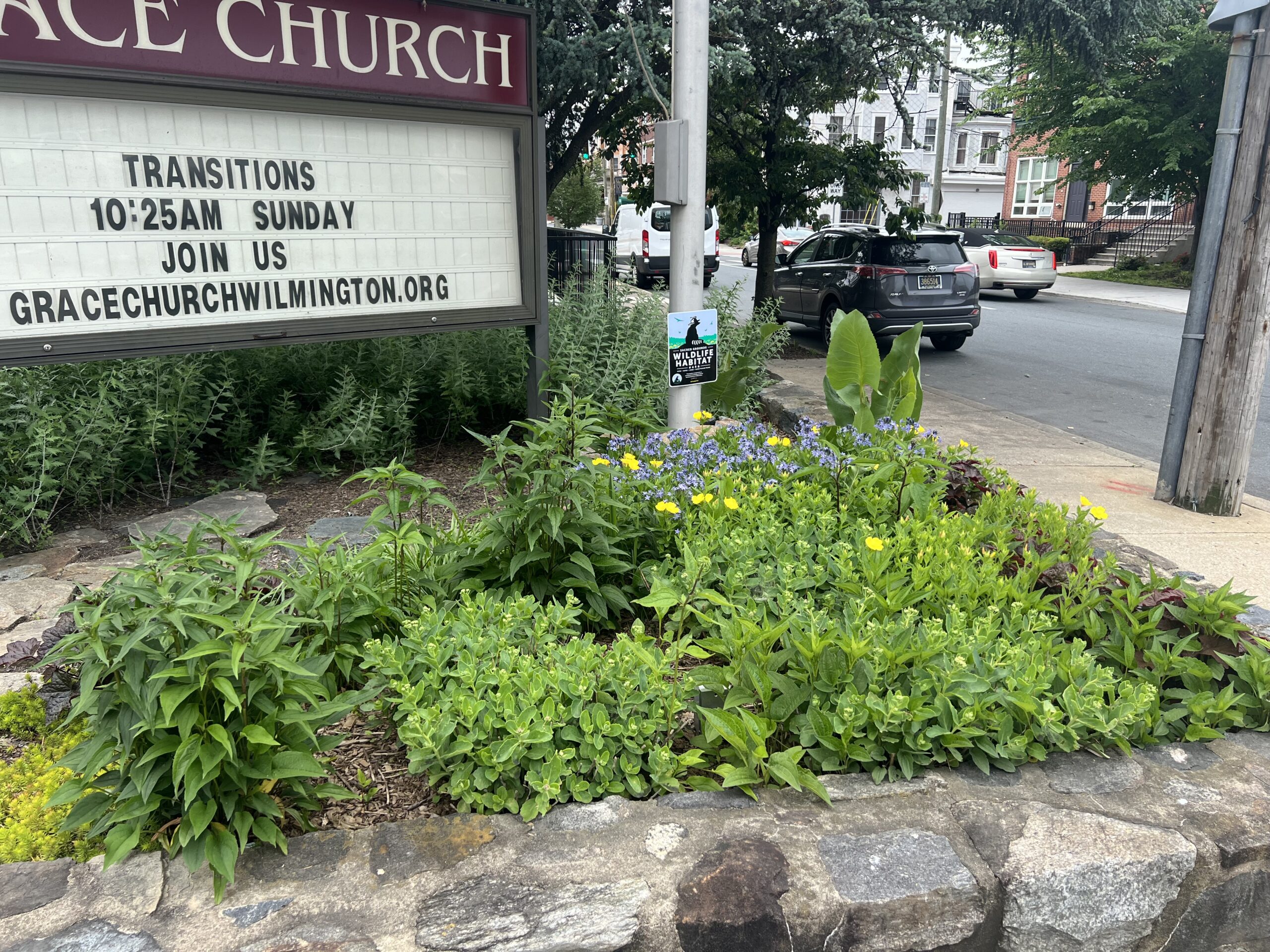Garden installation.