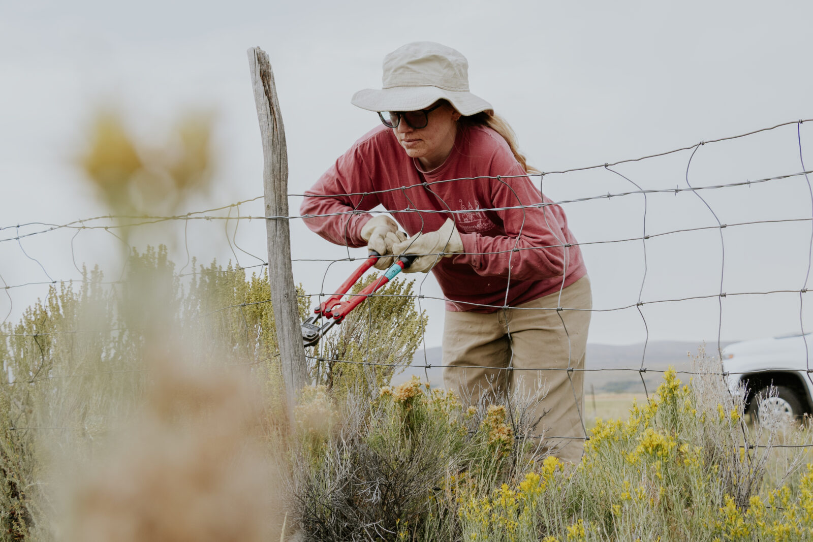 A person clips wires on a fence.