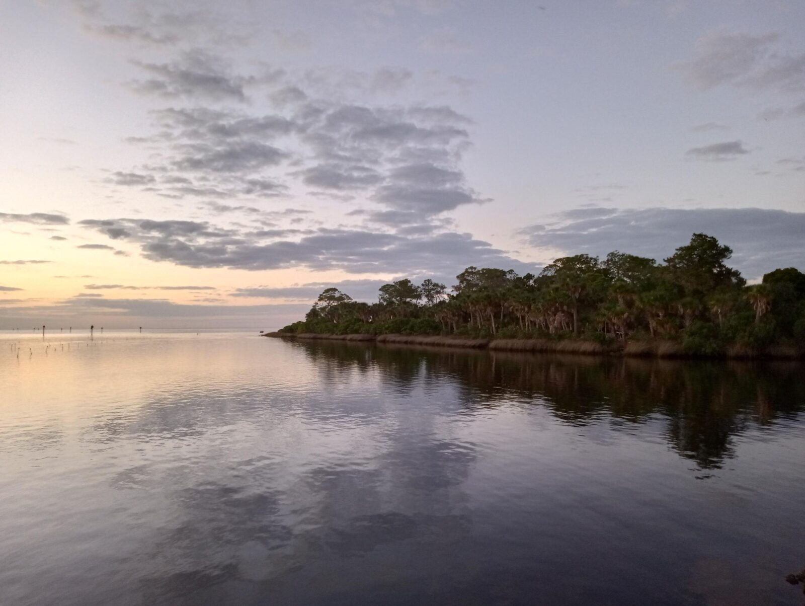 Scenic view of water bordered by trees.