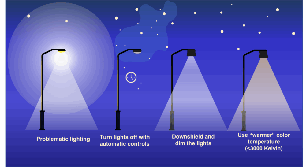 Light Pollution Harms Migratory Birds—Here’s How You Can Help - The ...