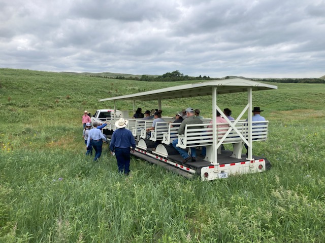 A group of people in a grassy field. Some are riding in a vehicle, some are on foot.